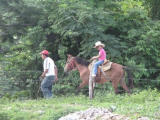  Horseback riding